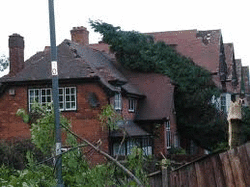 Emergency Tree Removals, Ware, Herts
